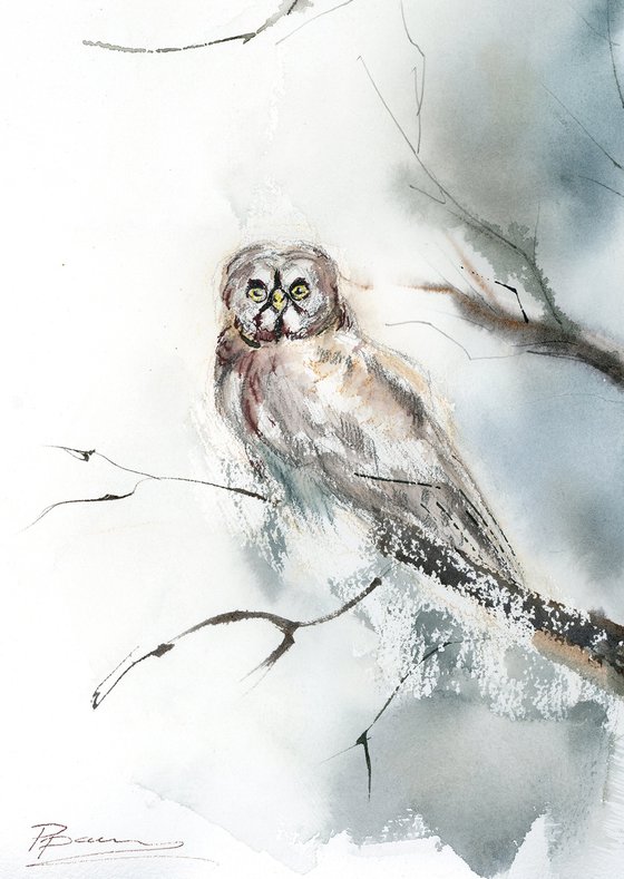 Owl in the Frosted Silence