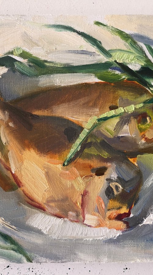 Fish and green onion by Nataliia Nosyk