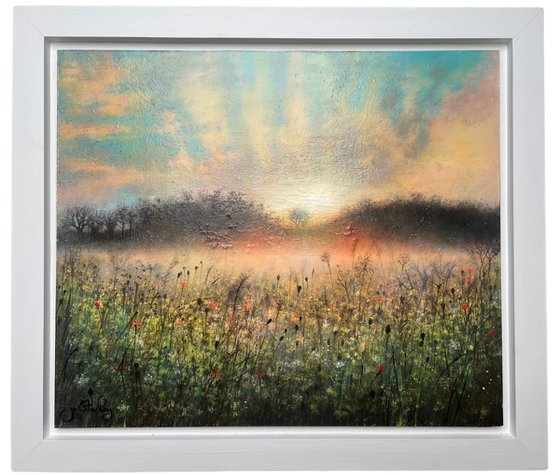 'First Light Across the Meadow'