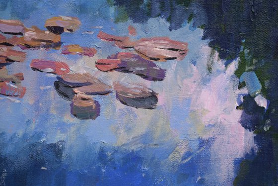 Water lilies light and shadow