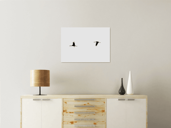 Crane(s) II | Limited Edition Fine Art Print 1 of 10 | 60 x 40 cm
