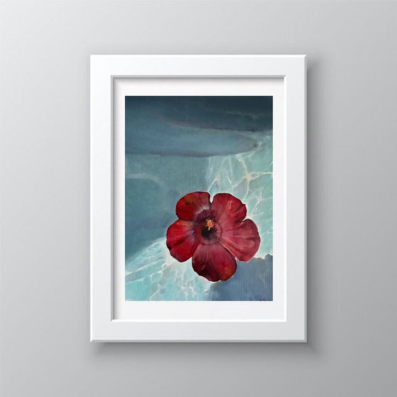 Hibiscus Water Sunlight