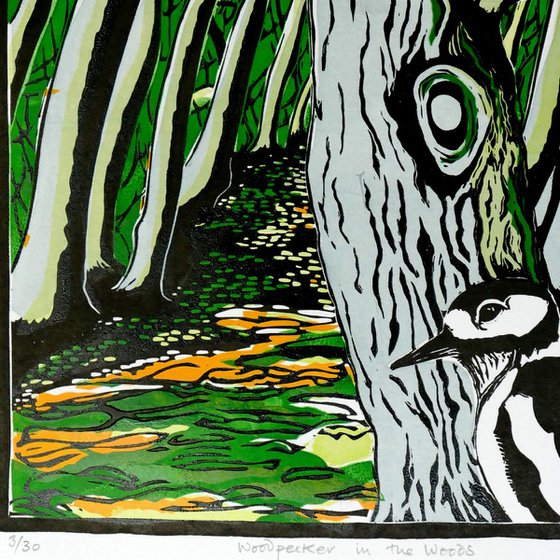 Woodpecker in the Woods