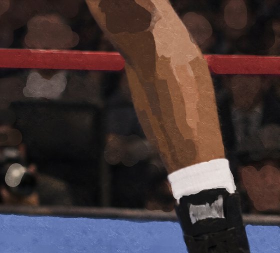 THE BOXER