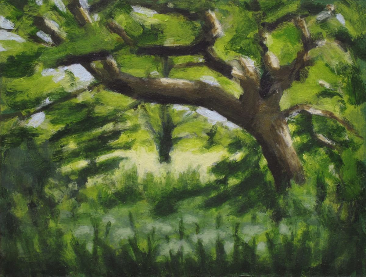 Trees along the River Exe No4 by Hugo Lines