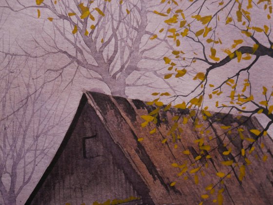 Near the abandoned house