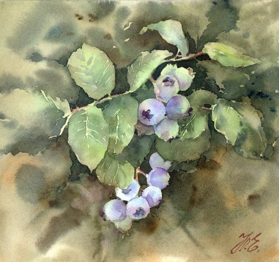 Blueberries ripen, Surprise in mom's garden, Small watercolor painting