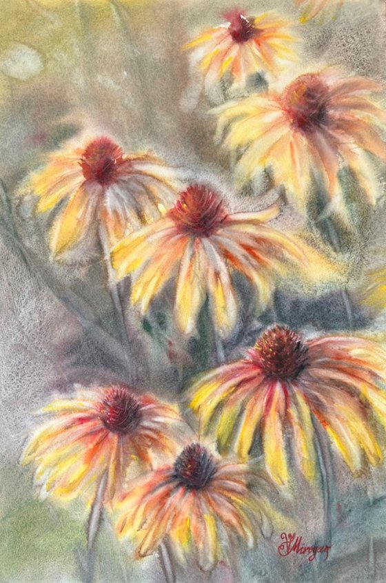 Radiant Echinacea