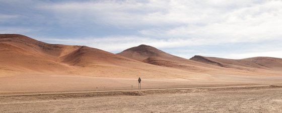 Desert Treasures 10