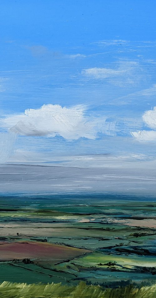 Coombe hill view #4 by Jo Earl