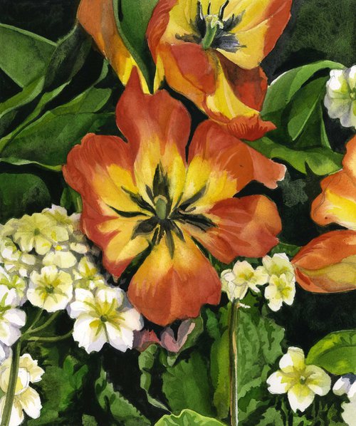tulips with primrose by Alfred  Ng