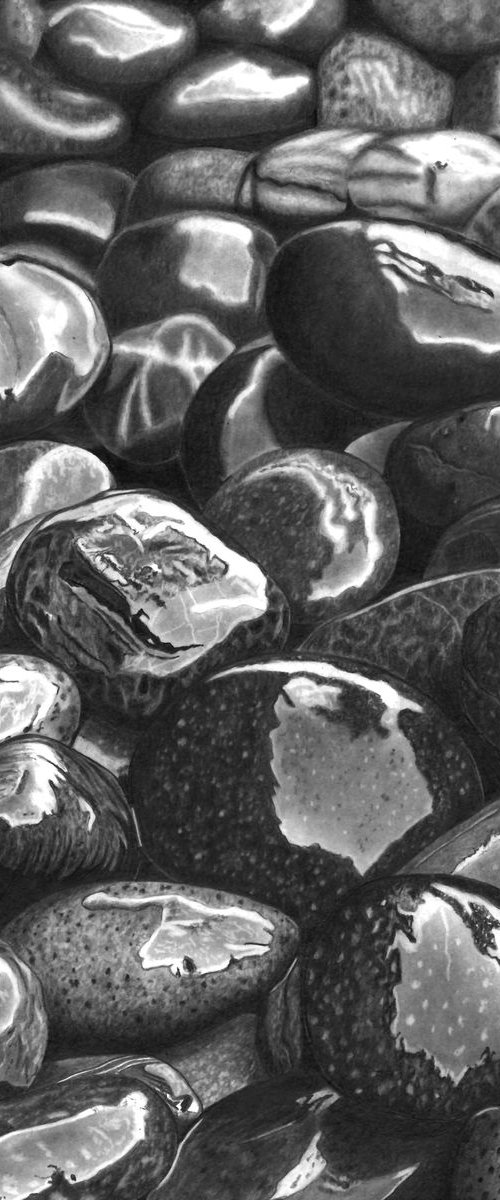 Wet Pebbles #5 (Pencil Drawing) by Paul Stowe