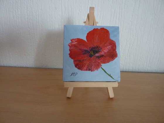 Brilliant Red Poppy