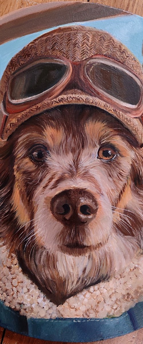 My little friend in flight by Laura Muolo