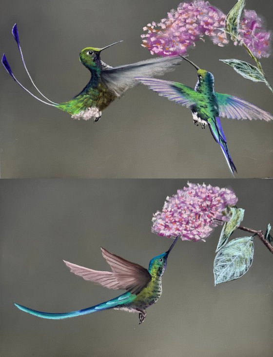 Colibri Flowers Diptych Pastel