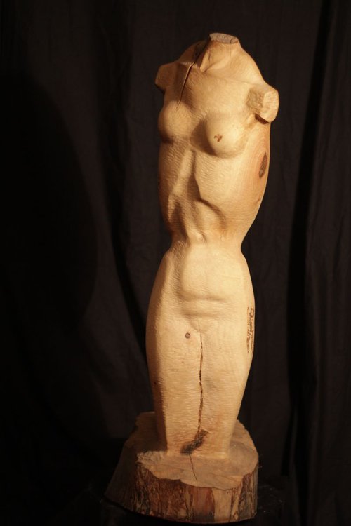 Female torso by Gor Hovhannisyan