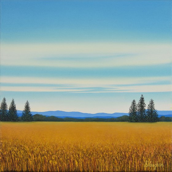 Summer Field - Blue Sky