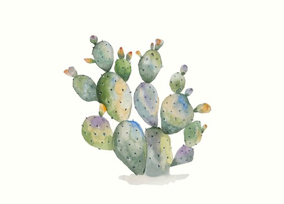 Watercolor Cactus 6