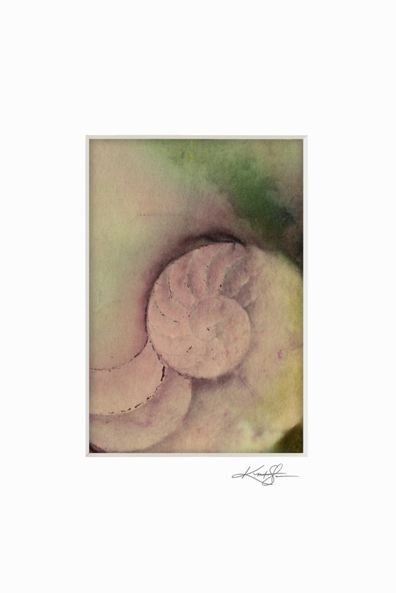 Nautilus Shell Collection 5 - 3 Small Matted paintings by Kathy Morton Stanion