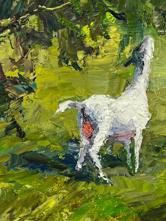 Summer Day on the Pasture