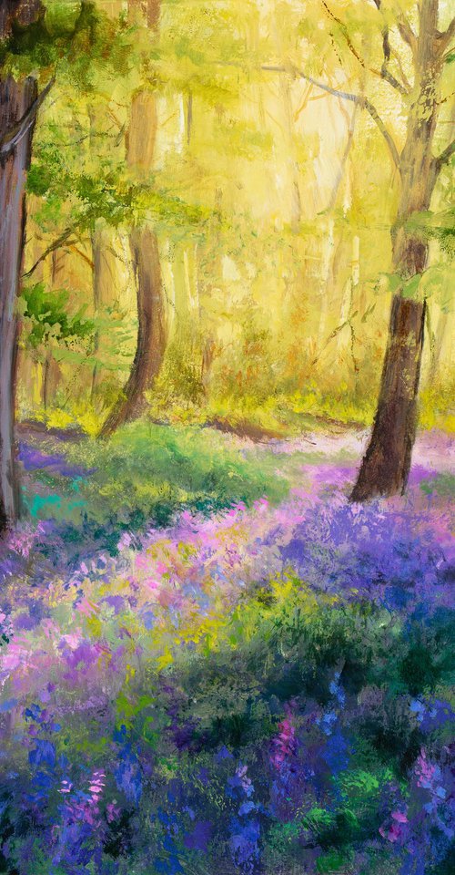 Bluebell flowers wood by Lucia Verdejo
