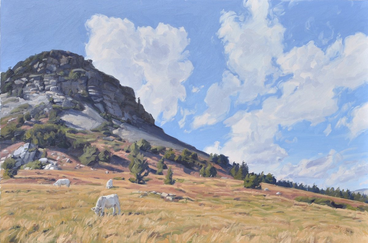 September 13, cows at the Mont gerbier de Jonc by ANNE BAUDEQUIN