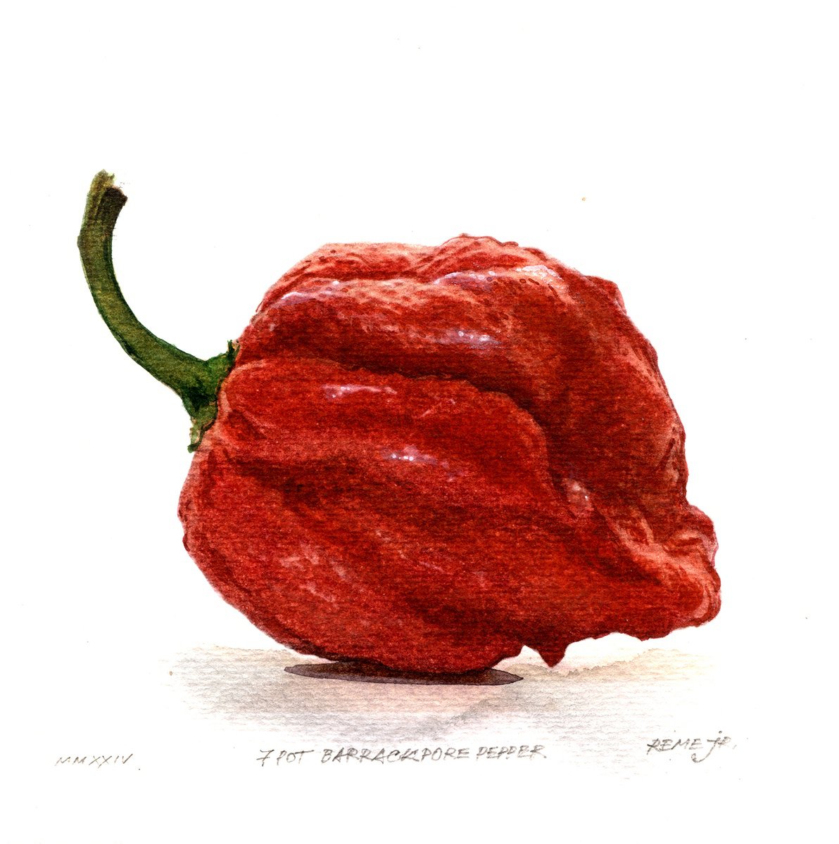 7 Pot Barrackpore Pepper by REME Jr.