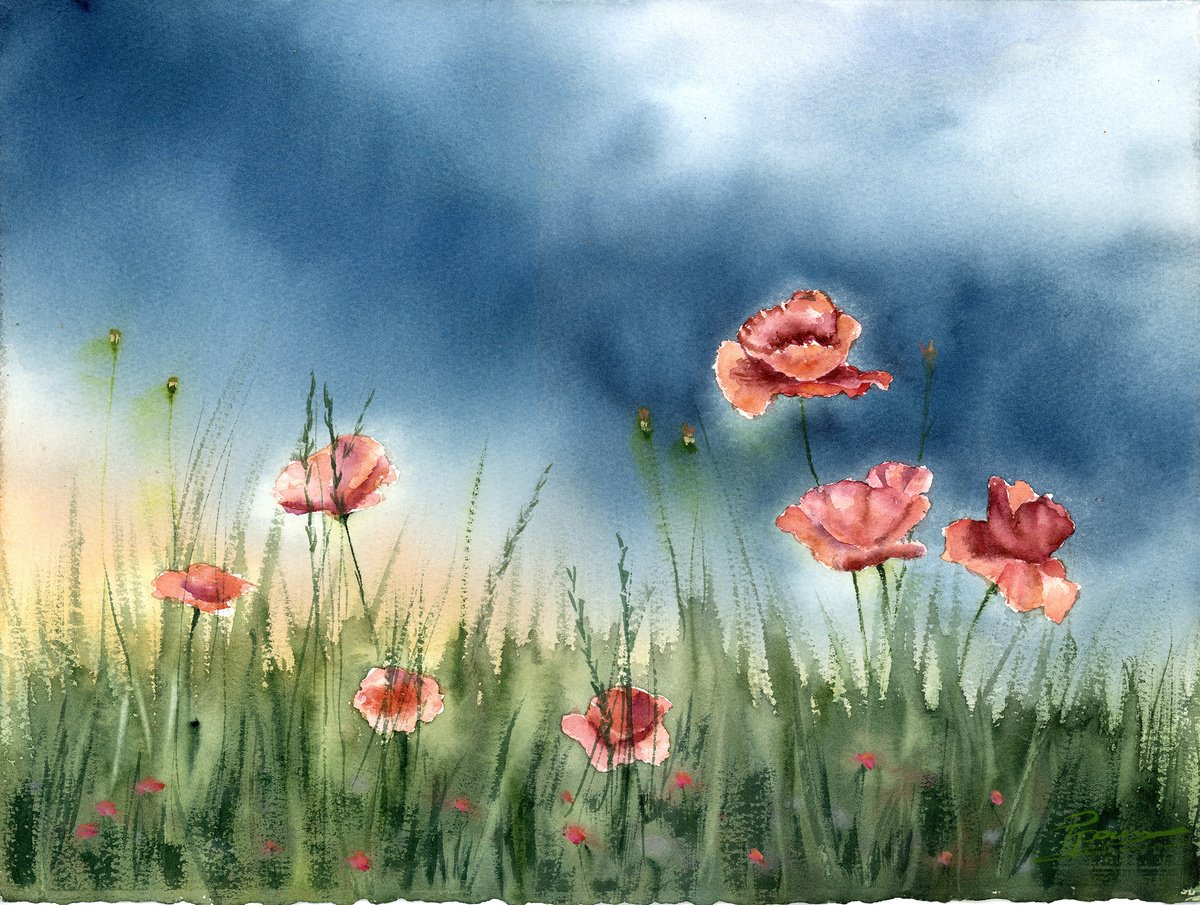 Impressionistic Botanical Watercolour By Olga Tchefranov (Shefranov), 15 X 11", Poppies, Original Artwork