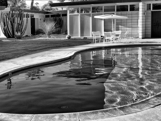 SWIMMING OUT TO HOLLY Palm Springs CA