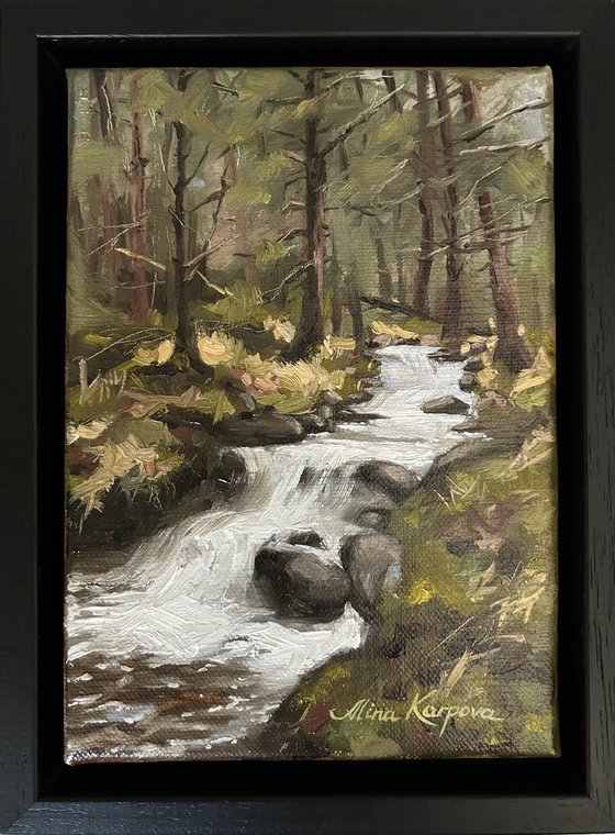 Forest falls