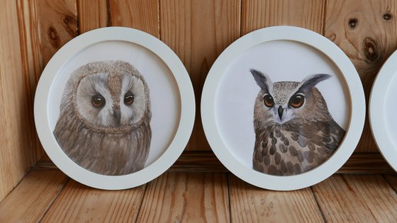 Framed owl. Part 1.