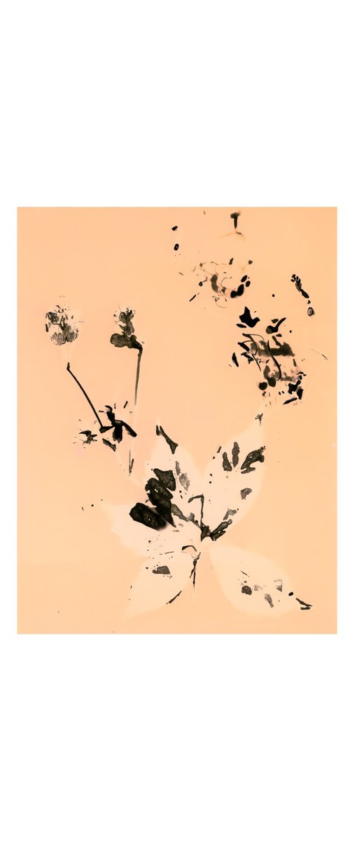 Phytogram orange flowers by Carla Piacenza