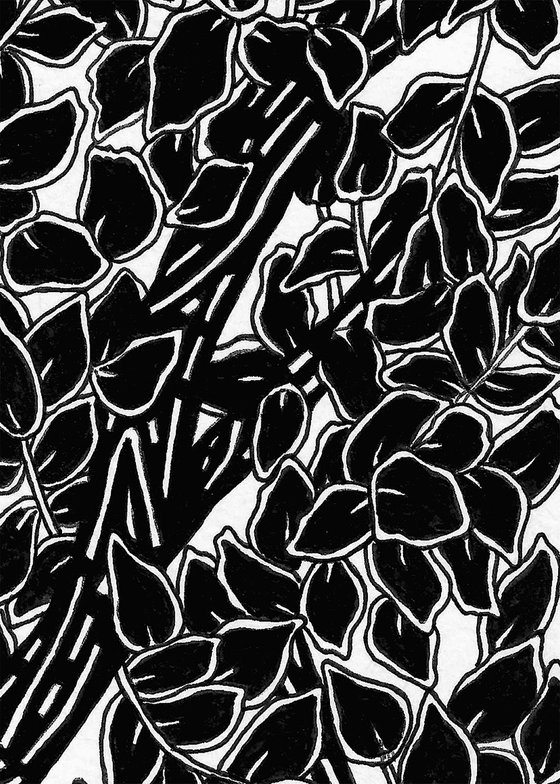 Botanical Composition