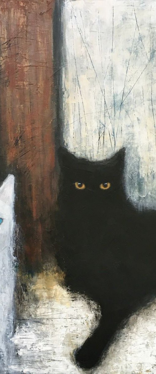 LIGHT AND SHADOW by Eva Fialka