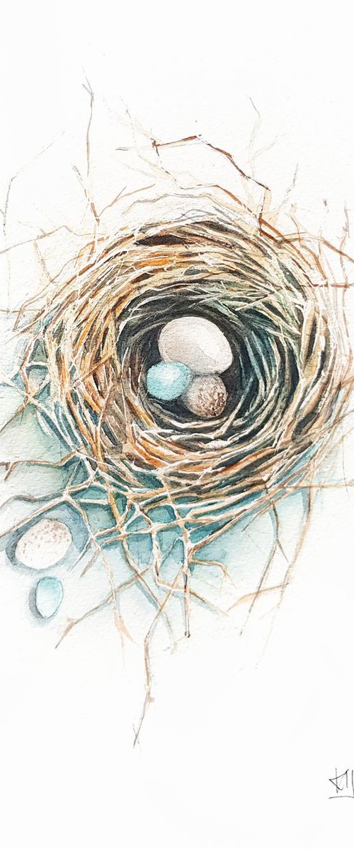 Nest with eggs, wildlife and birds painting by Karolina Kijak