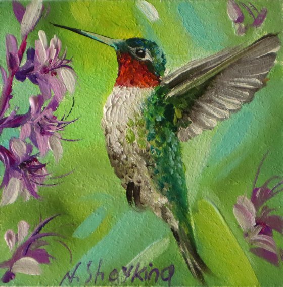 Hummingbird