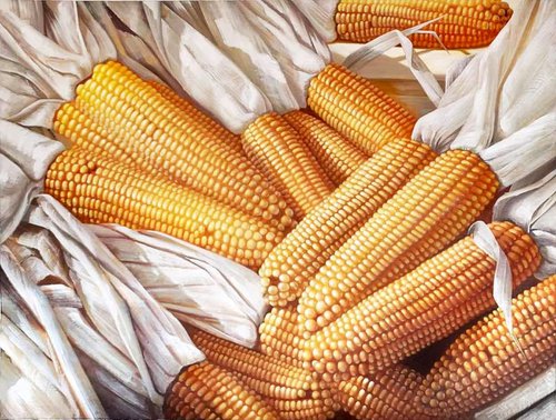 Still life:Corns by Kunlong Wang