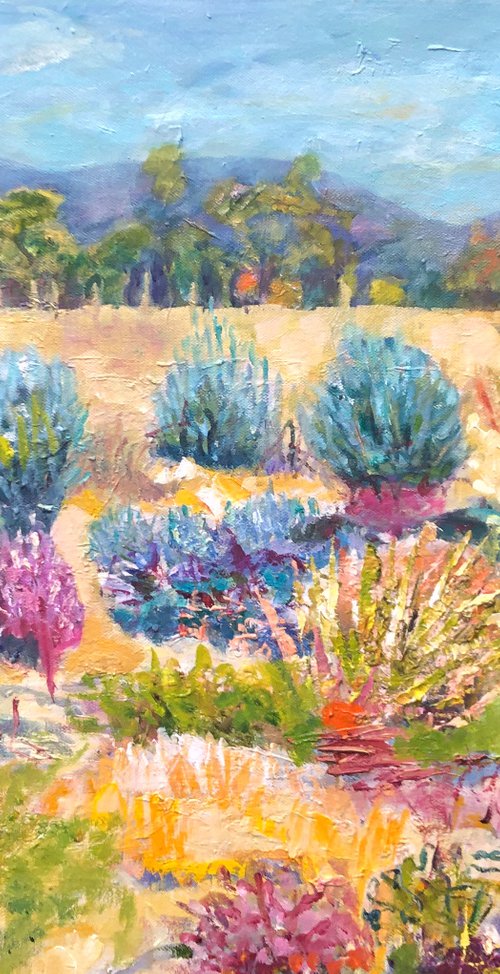 SALTBUSH ON KANGAROO ISLAND by Maureen Finck