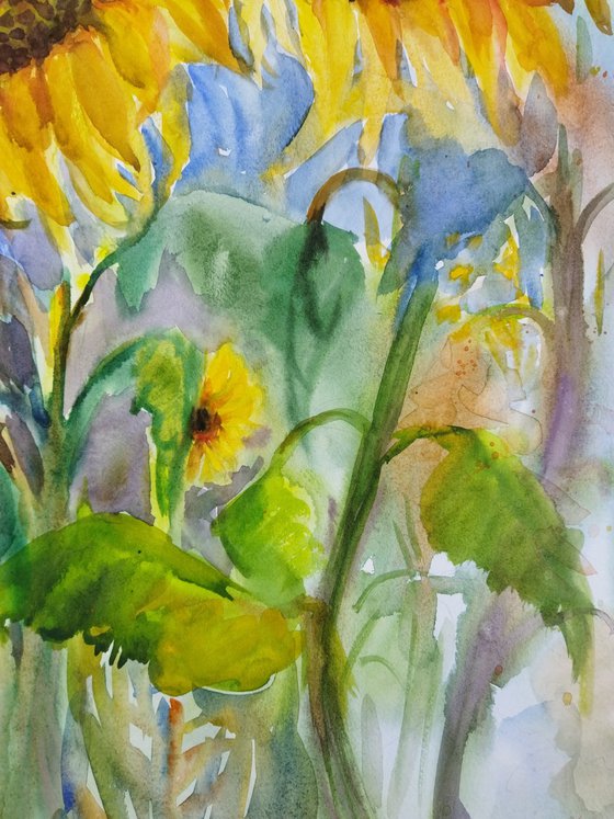 Sunflowers