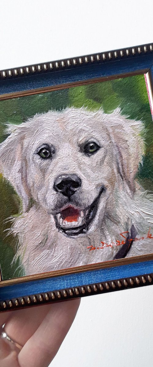 Custom dog portrait by Nataly Derevyanko