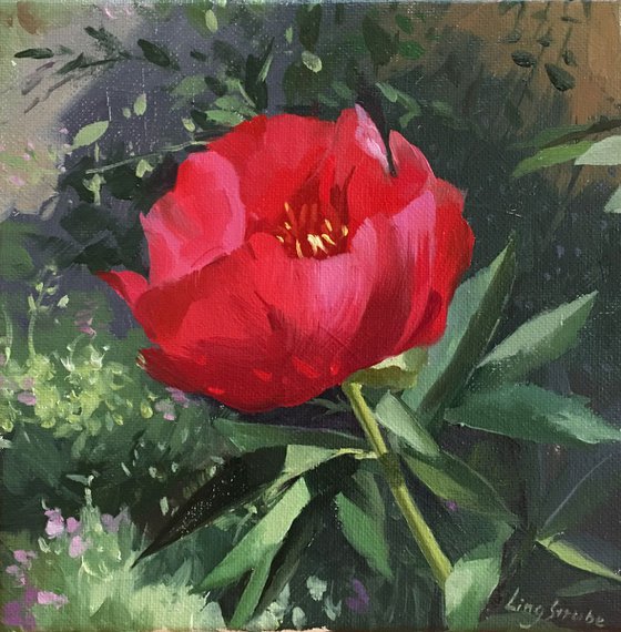 Peony