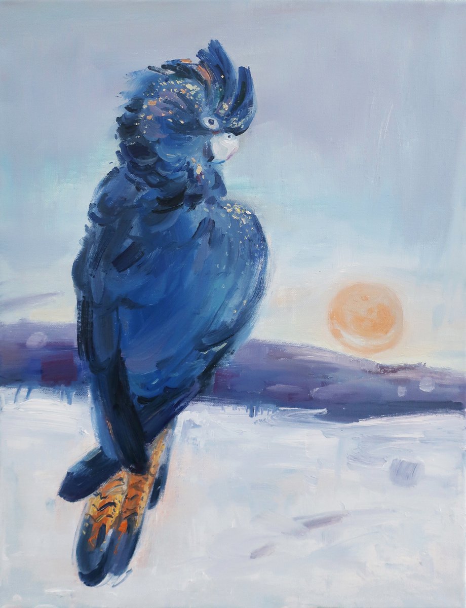 Bird Black or Blue parrot Oil painting by Anna Shchapova