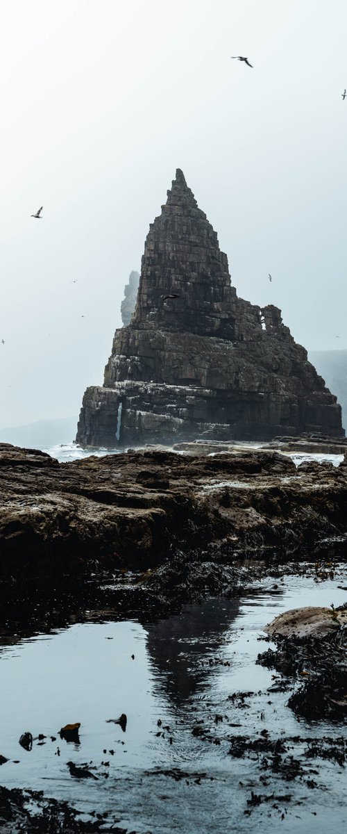 Stacks and Gulls by Adam Firman