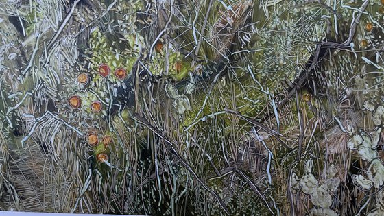 An Abandoned Spanish Orange Orcha