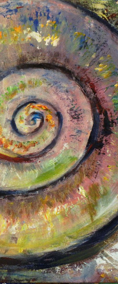 Ammonite Shell - 20x20 by BenWill