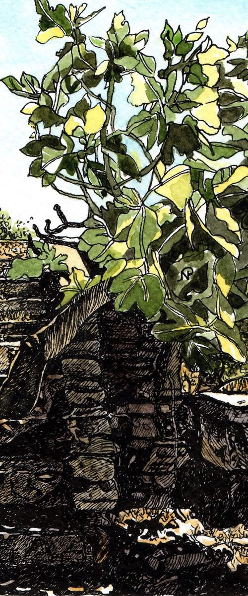 FIG by Nives Palmić