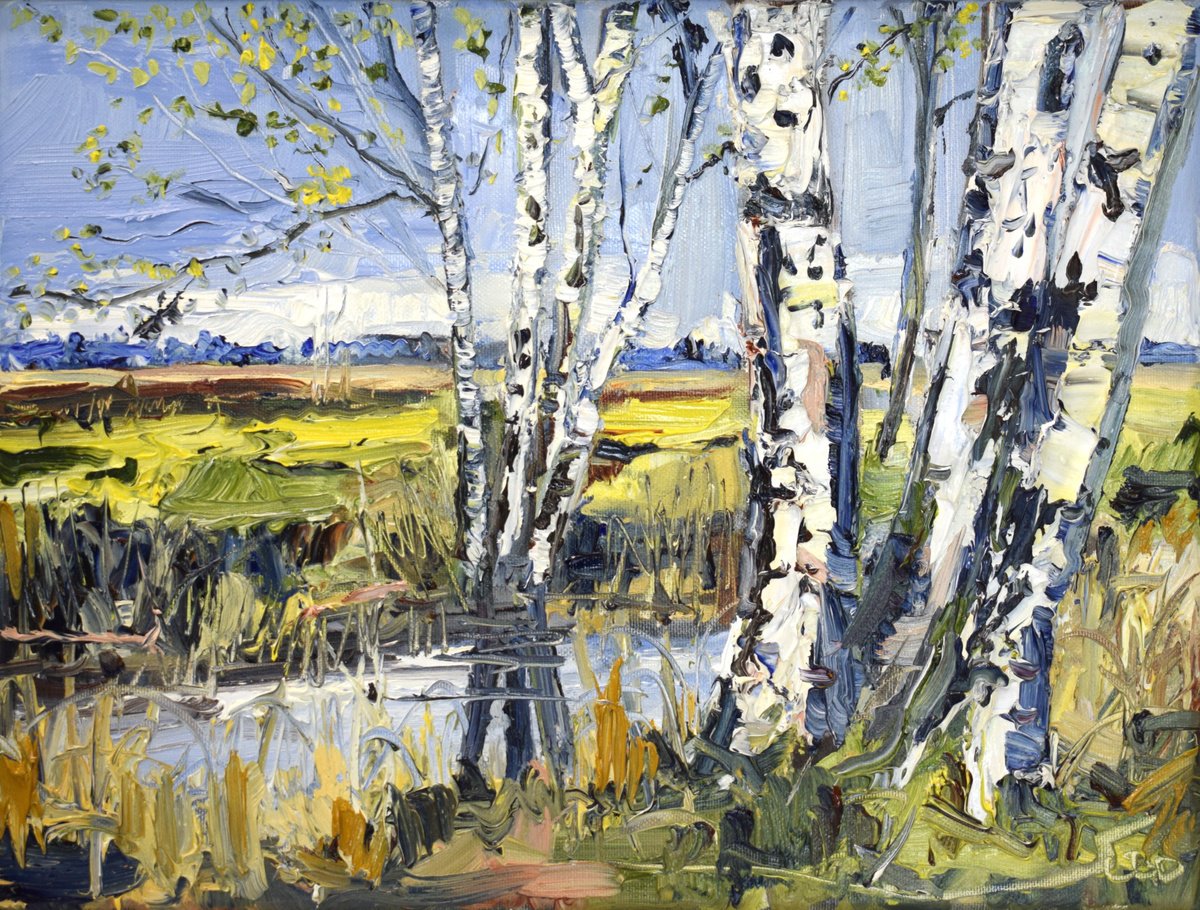 Impressionistic Landscape Oil Painting By Sonja Brussen, 17 X 13", Birch Stories, Original Artwork