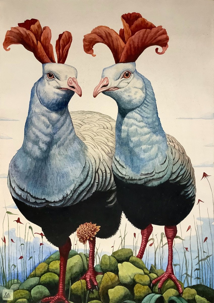 Surrealistic Animal Watercolour By Lisa Lennon, 11 X 17", Fabled Fowl 2, Original Artwork