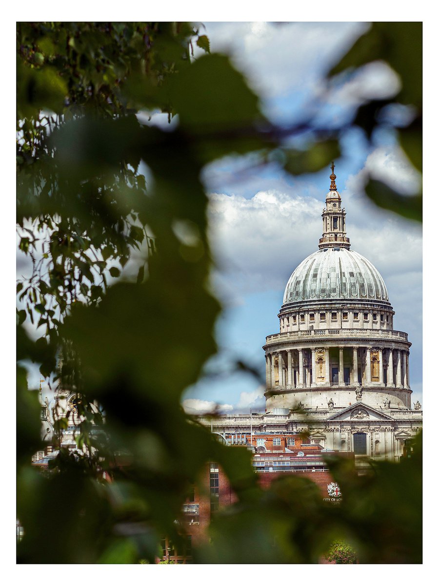 Natural framing St Pauls Cathedral 2/20 9X12 Photograph by Laura