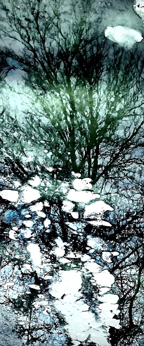 Enchanted Reflection by Julien Boissaud